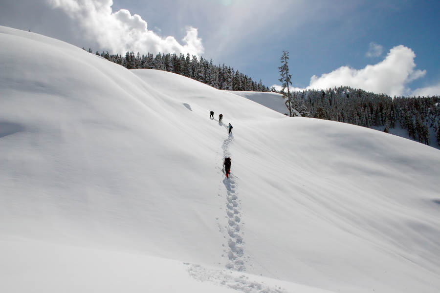Best Snowshoeing Destinations in North America