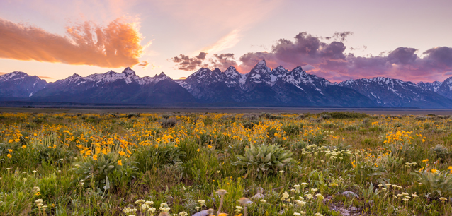 Top 10 Most Visited National Parks